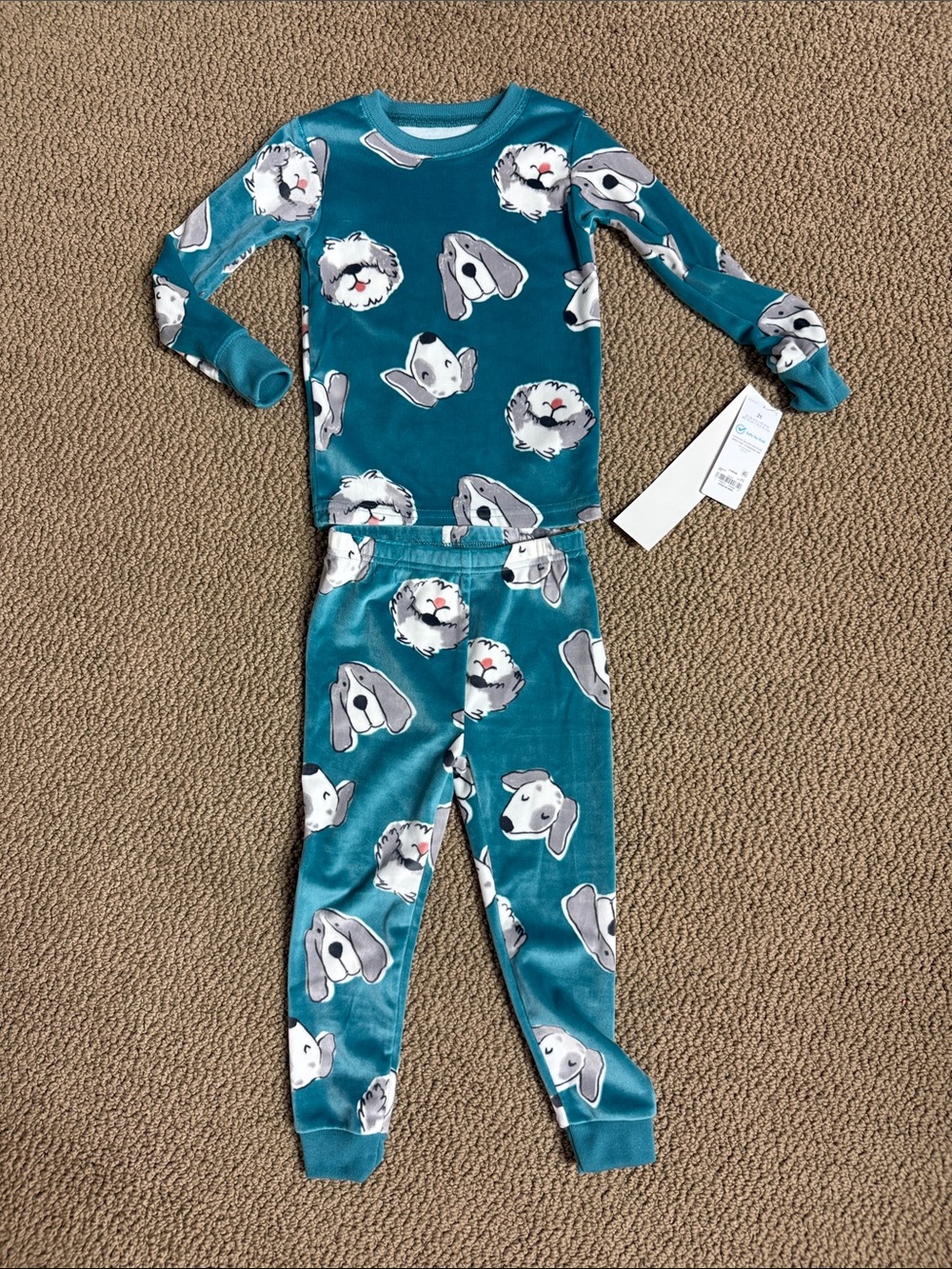 Carter’s Teal Dog Print Pajama Set -